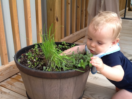 Chase tends to our herb garden
