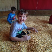 Corn Box at Thompson Farm